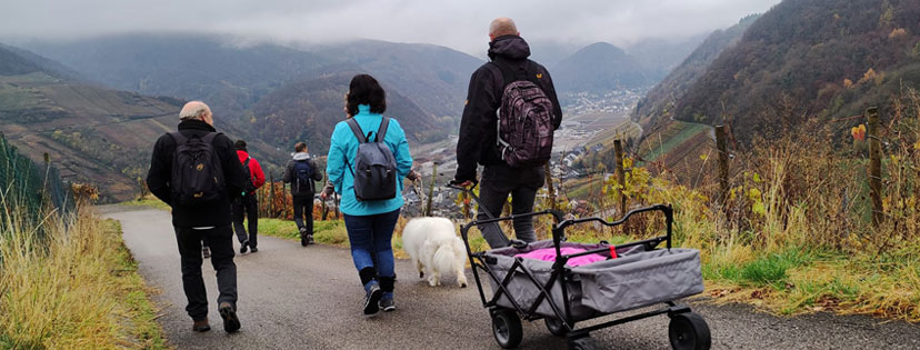 PCD-Teamtag 2021 - Wanderung im Ahrtal